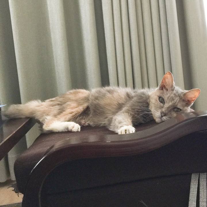 47ff3cd1 a292 434f a41b b5b4c470bd67 1555806973627