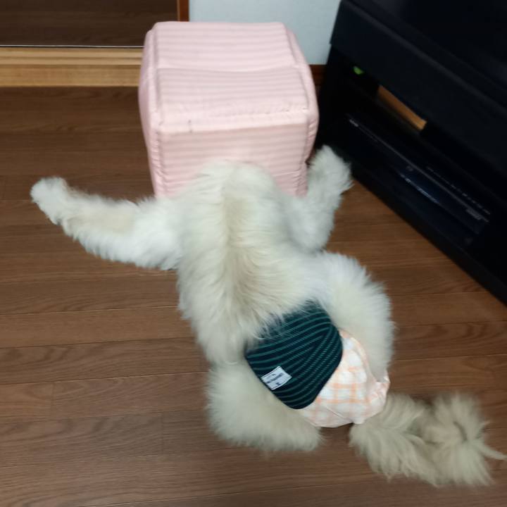 47ff4391 3cbe 4add abe6 d7bf80e2f425 1624356423625