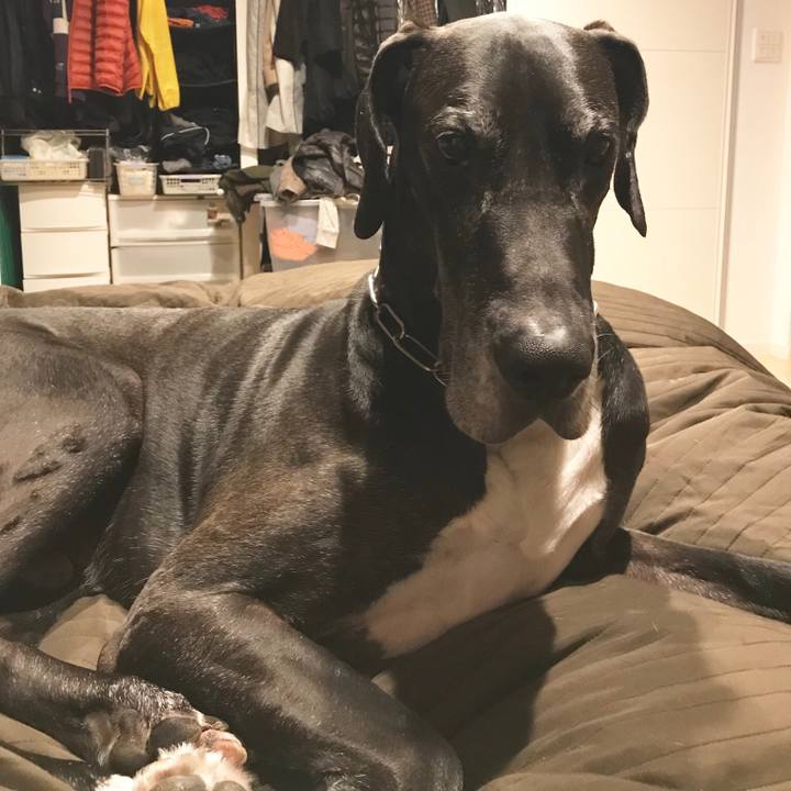 48002831 fb03 416b aa51 ec8e8f06ef68 1511994981155