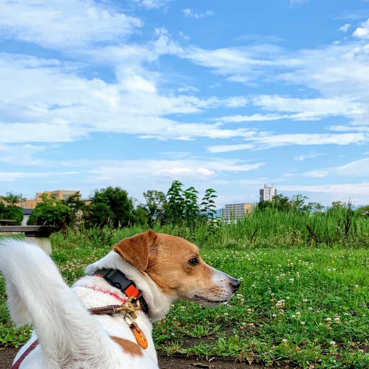 48003e73 61ac 4e91 b4d4 70f3a708b273 1564269856142