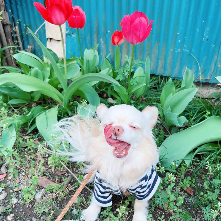 480064f1 5128 43af b833 09a701c1c6e4 1712477378215