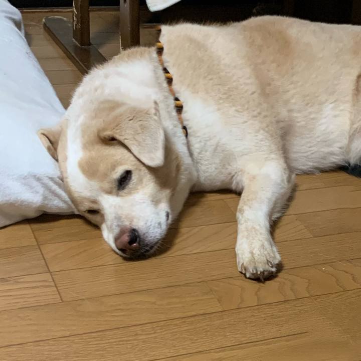 48007370 b180 4541 84e9 dca3302c7380 1599312712245