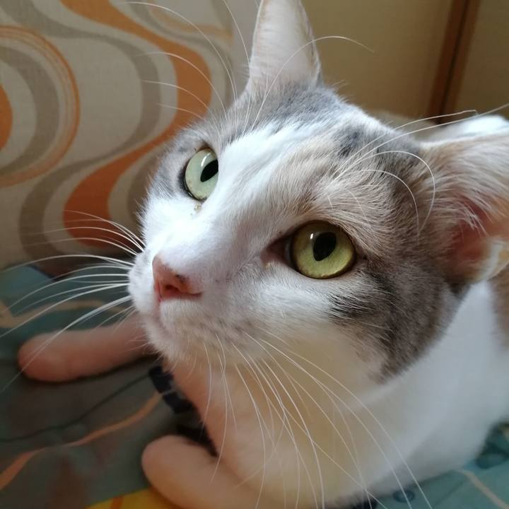 48007d71 941a 4a91 b935 9c8655eaad02 1547558134959