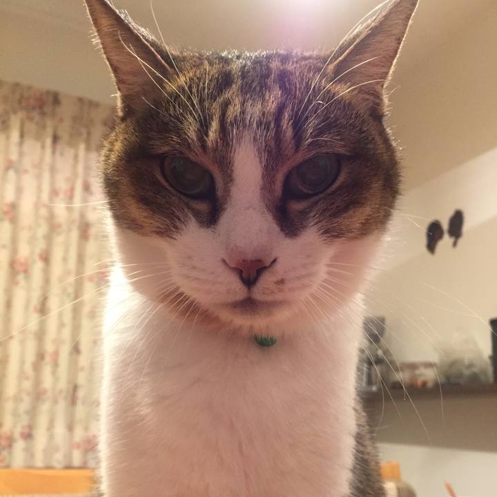 48007dbf 59d6 46bd b0a5 5b24cf92f00c 1509430487621