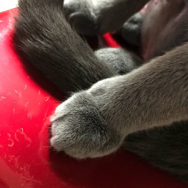 4800bf72 d373 4201 a845 f0d4e6b8bf22 1523105104749