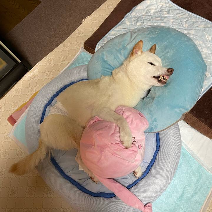 48016266 fd99 4f23 a18a 11148a178ba9 1663241726505