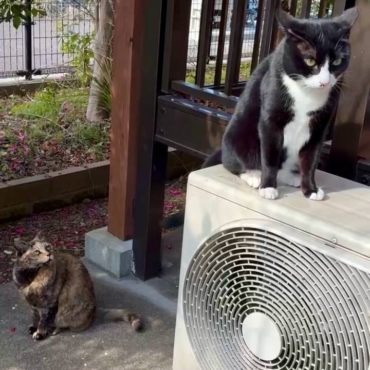 48018034 2689 4128 8717 0312cf8eabce 1771447198923