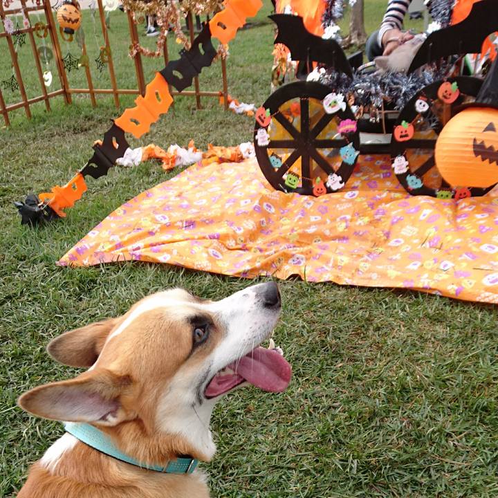 4801a67d 97a0 4b2f bbe7 4bcfb05252fe 1602996143090