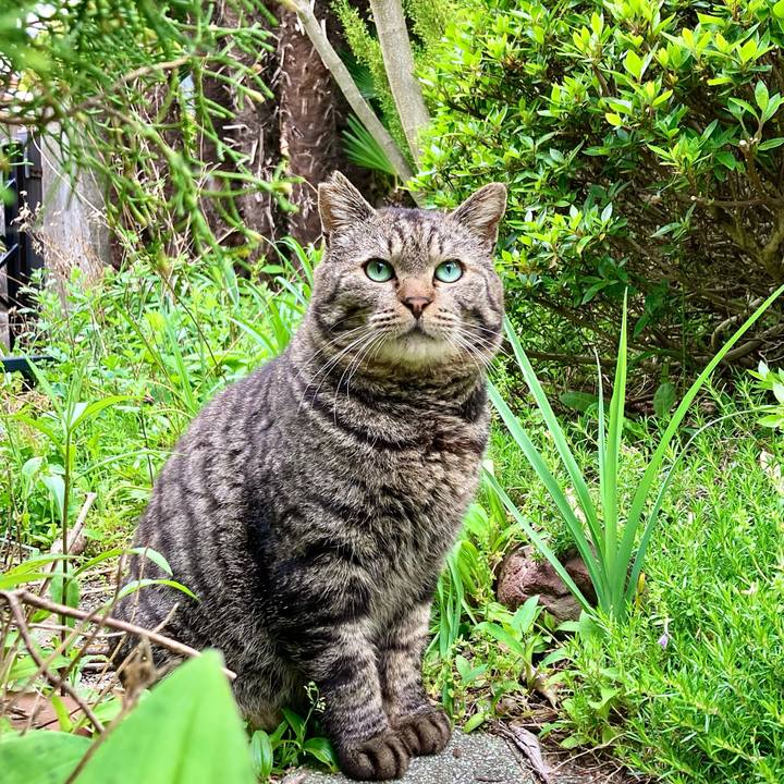 4801b1c5 a821 4803 a4c6 19b0e3a8d192 1653802968777