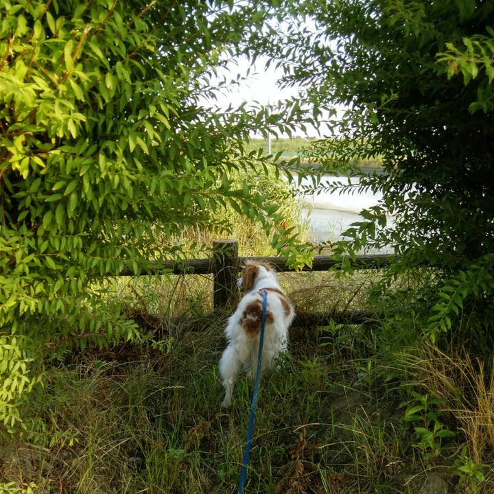 4801c428 0487 438f b149 cdc1f3fee7d0 1561032014259