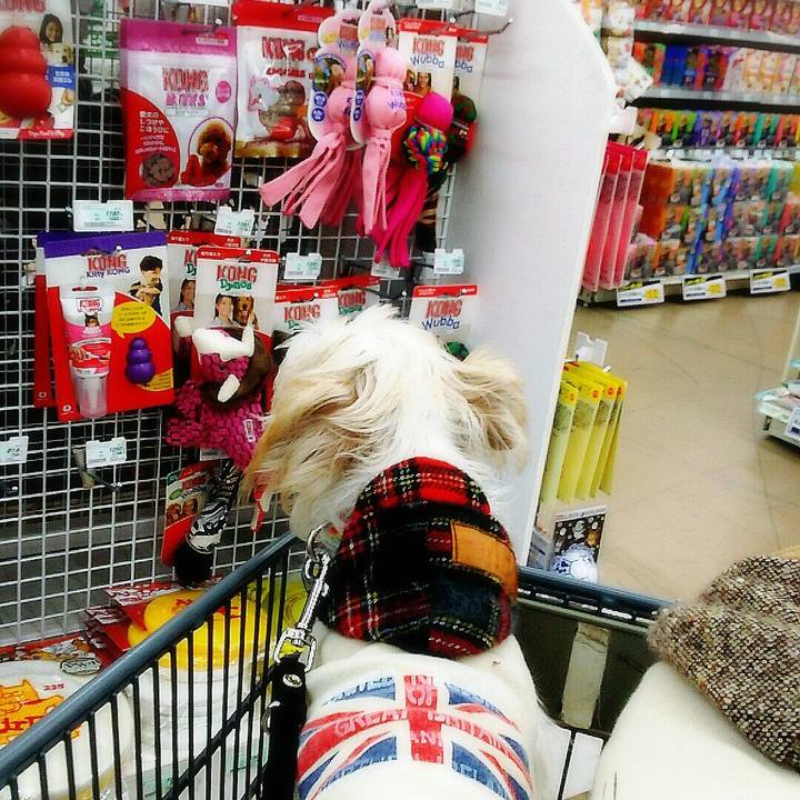 4801d9ab b150 42f2 945e c43a27c51605 1512295925035