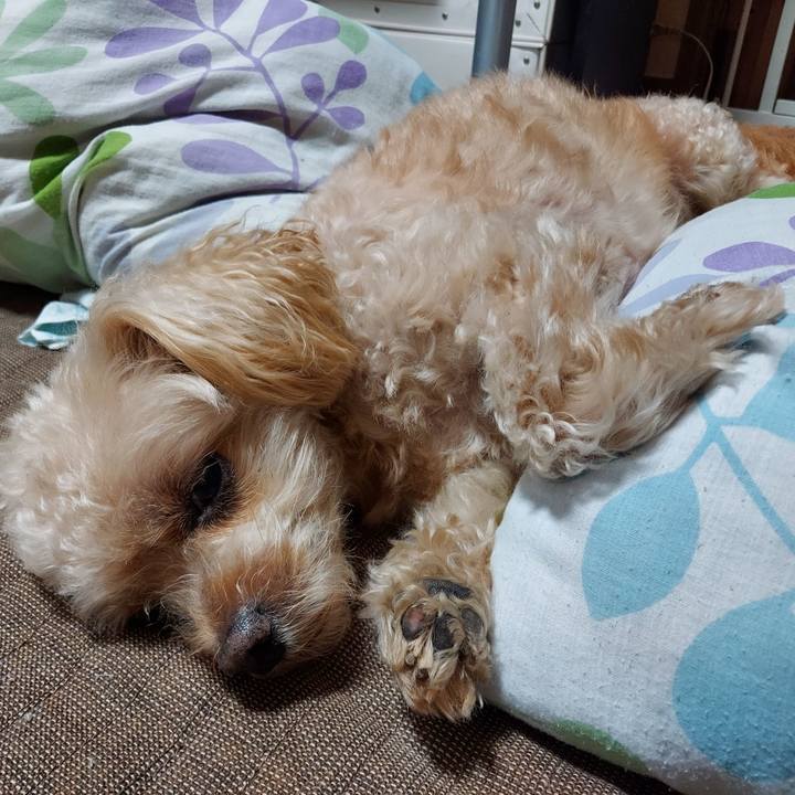 4802046e c38f 4449 91eb 6bab392de69b 1728341765179