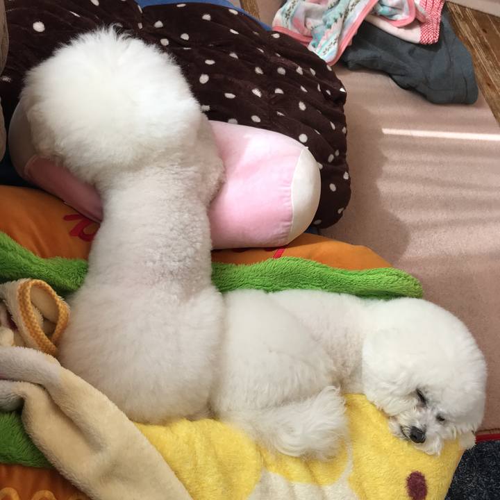 48022bcc 99e7 442b 8d76 b25c6169e70f 1549501543408