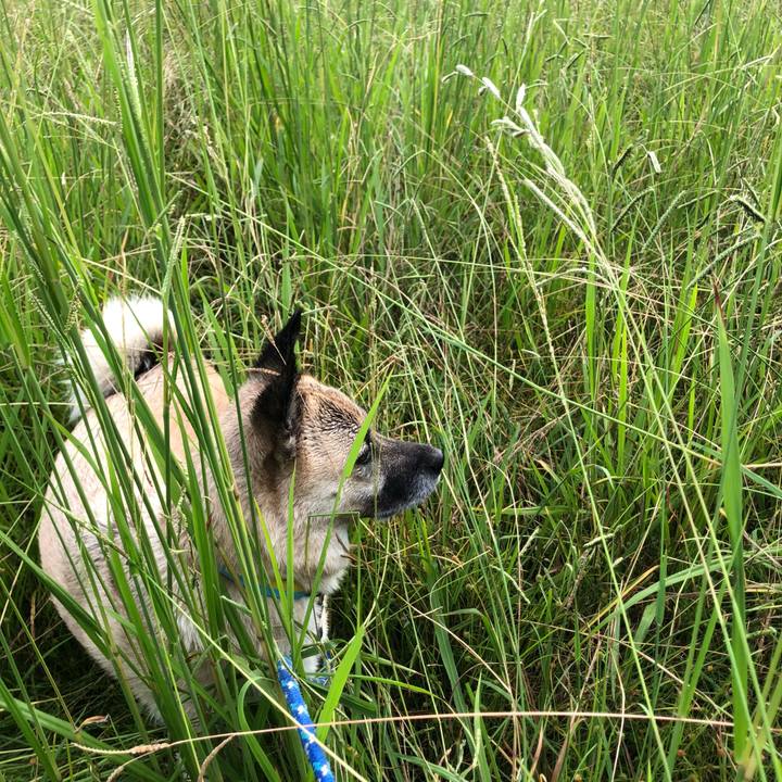 48023341 eb95 4230 ae47 8f86747304cd 1632828094353