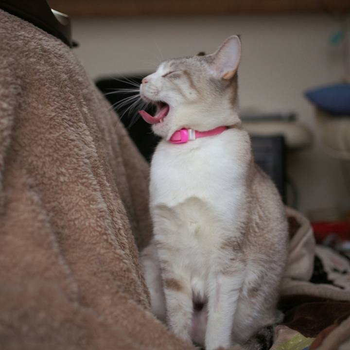 48029134 a88a 4be7 a995 70ac54fb96b8 1520570275614