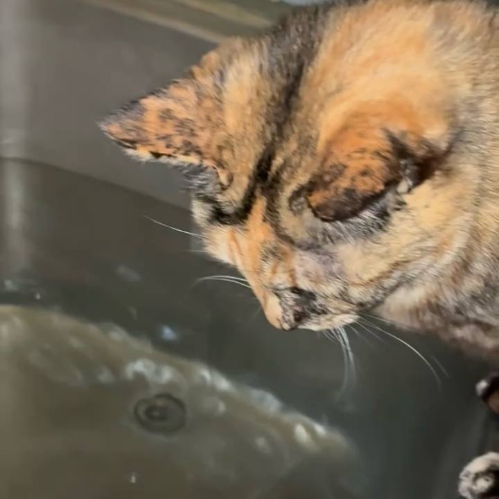 4802978c 0686 485b 85fc 1cda5501807b 1774471979115