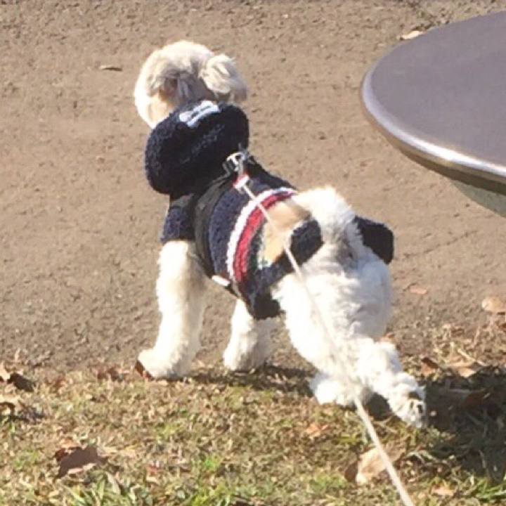 4802d02b 9f4b 4586 99d8 808b92cded19 1514972228027