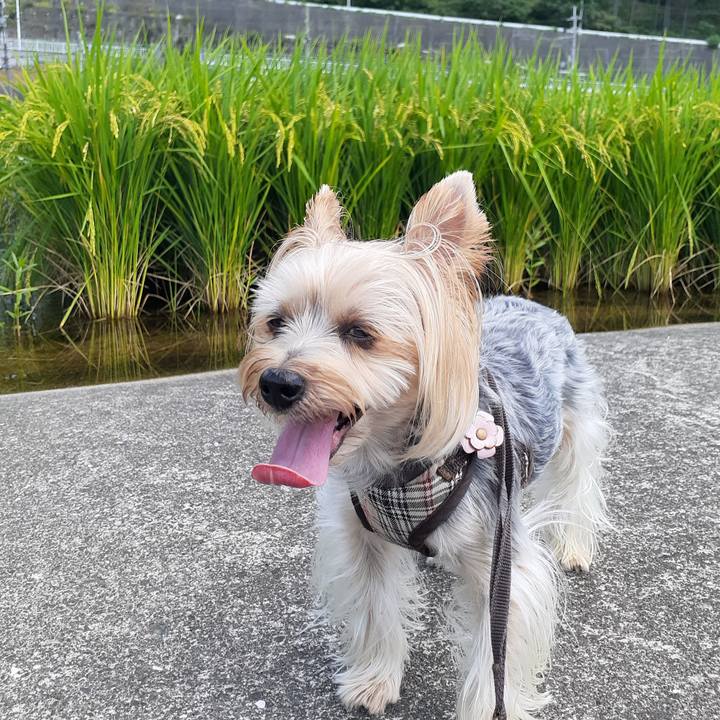 4802d340 4fdf 4228 a65b 8ce546bfa0ef 1662173729018