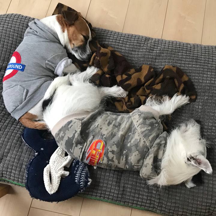 4802fb6b 7a59 4db3 946b 0fb5dab7f0b0 1541474368909