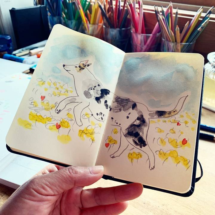 48031b04 526c 4410 90a8 e365c63ca6f1 1641860871152