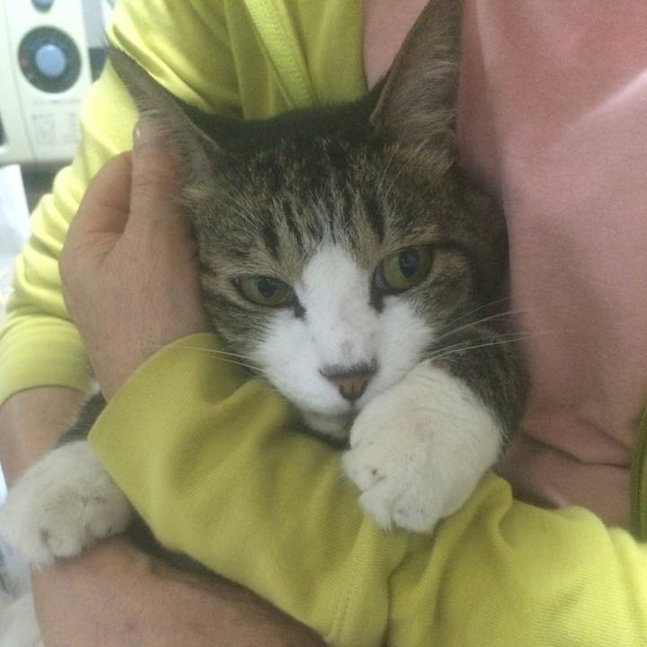 480320ba d3d2 4472 ada0 fe8382dfe86f 1561821235767