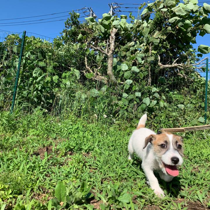 4803215c 2b65 42df a54b f32262d0f9a0 1560669799876