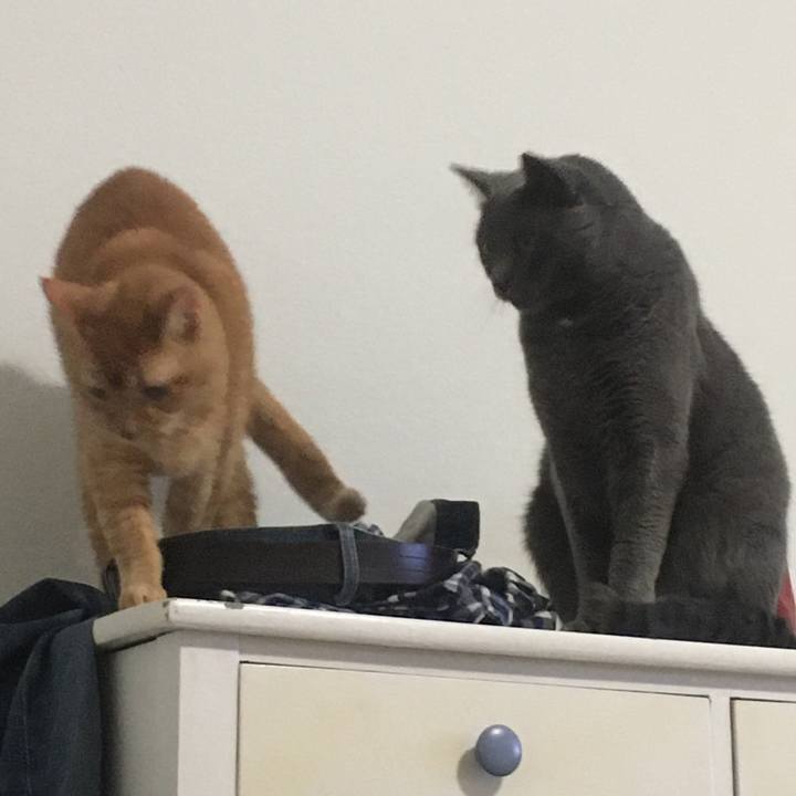 48035bab 2b50 489d a9c2 0372ed3dab1a 1692839374082