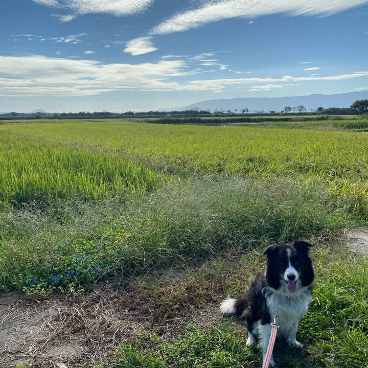 480371a6 acff 4386 b2a9 ca3b9a378a60 1632874098080