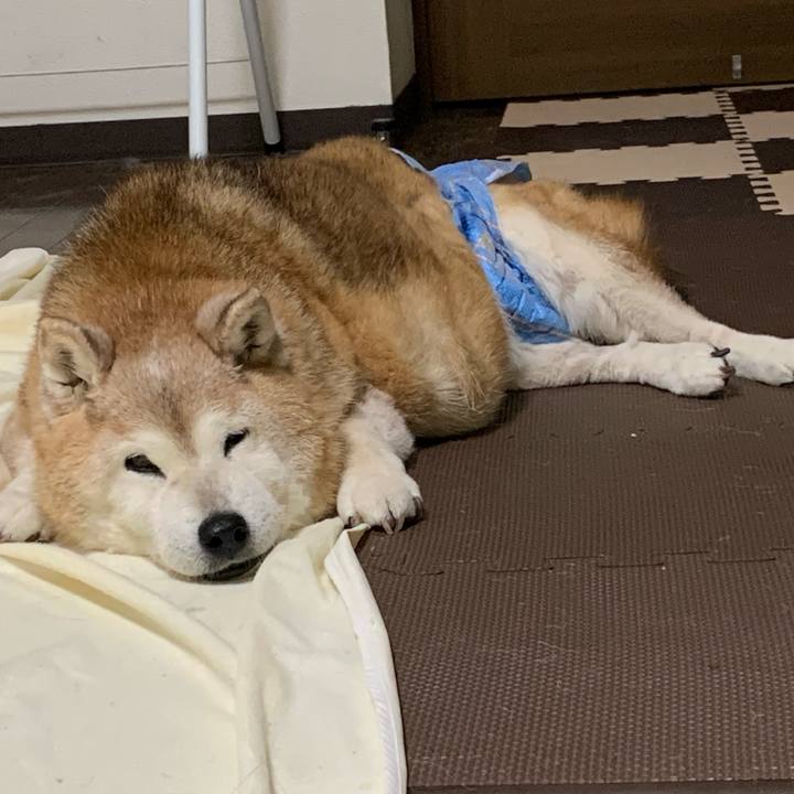 4803aec2 fea9 4f64 a075 657dd460a48e 1686826833999