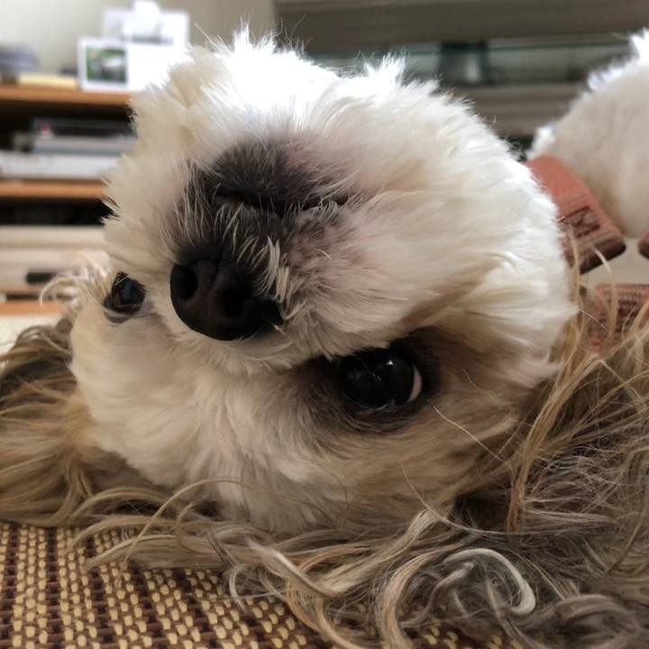 4803b2a8 13e2 41a7 85f9 31a61256a609 1533246076293