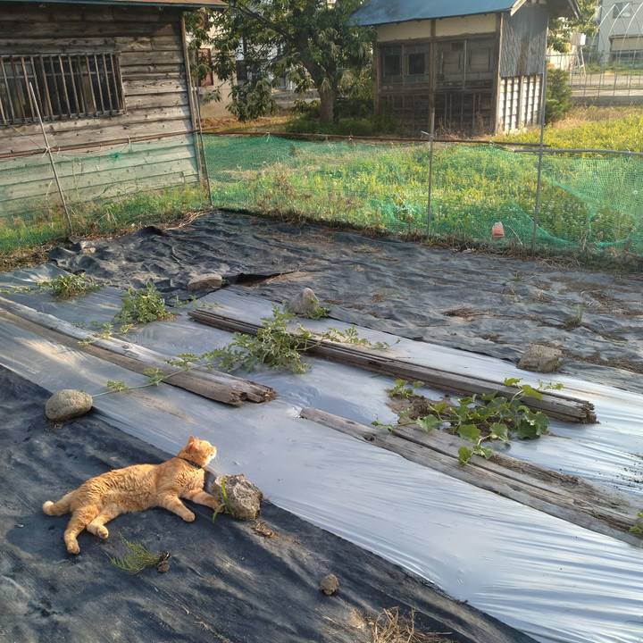 4803b5e4 7eba 4a8c be44 17ec56a4c2b0 1750327212970