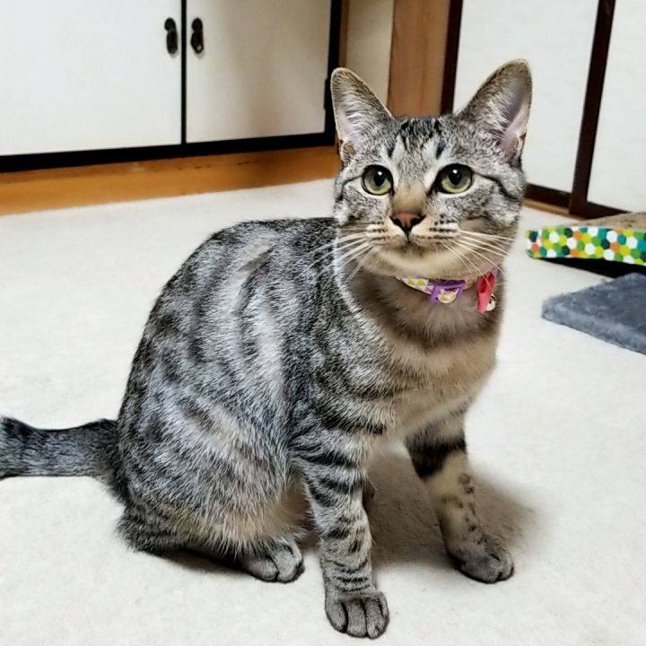 4803cd3d 8cce 4c81 b448 52f9ed16f813 1680070971980