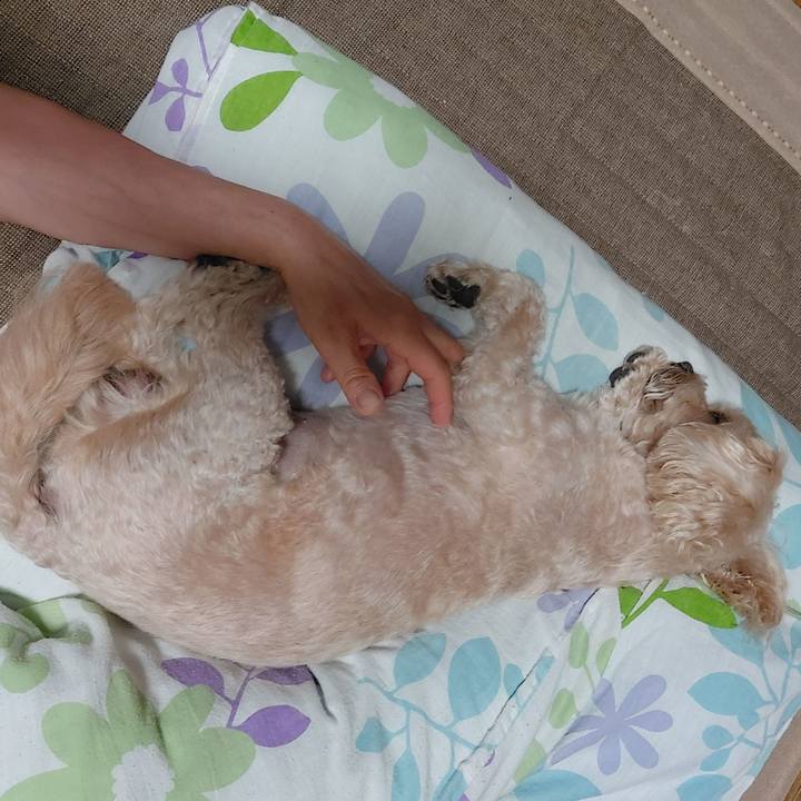 4803ebf3 09f6 40de 8d0b 461e400fcc63 1633839580754