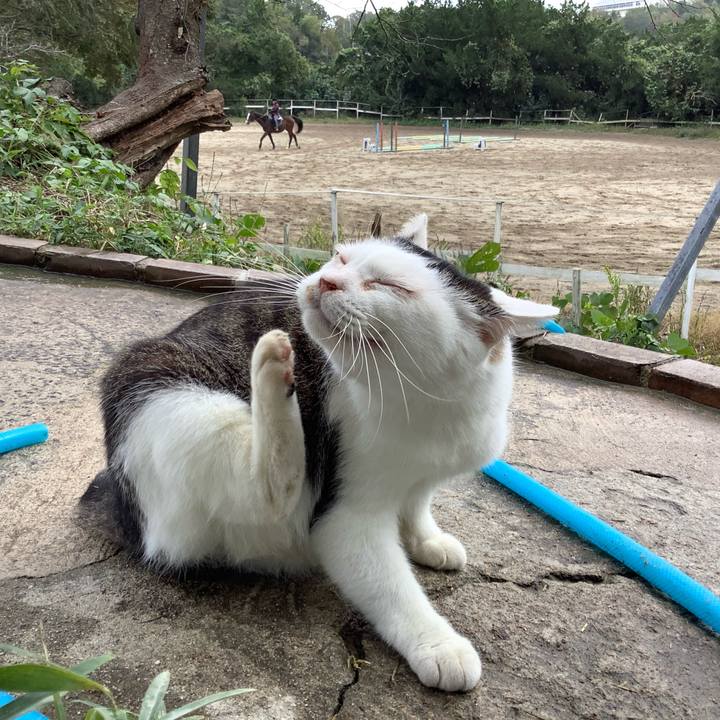 4803f3fd 6df7 4c17 b9e1 d139beac995c 1573372708109