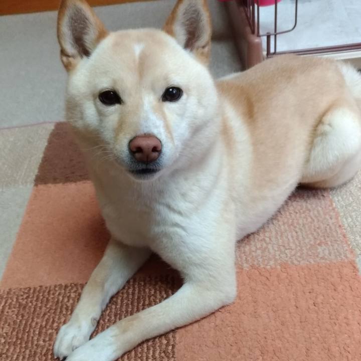 4803fbce 124b 4138 a3c2 c9d75c91ba4b 1551165864732