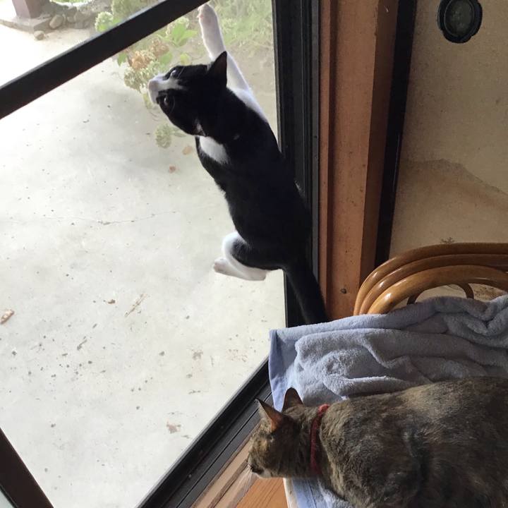 480474b2 a5c9 4418 82f6 7f4562c0331f 1629881928387