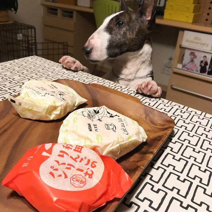 4804b801 286f 4858 a156 b6be37410083 1511304464036