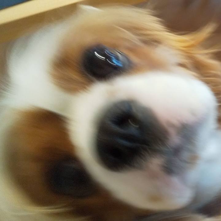 4804ba1d c214 47be b870 37c02b7dfc2e 1603602074535