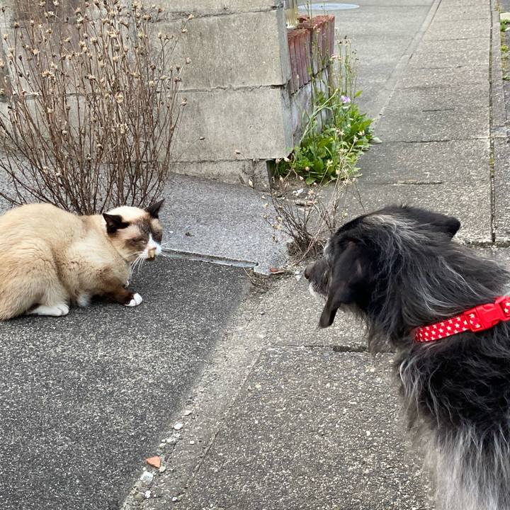 4804c8e5 43ae 49cf 8a5a 2fe5c9a0205f 1687215669465