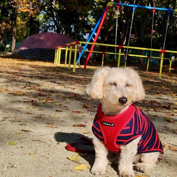 48051866 c015 44c7 b5ff 06ba7a054919 1764217731157