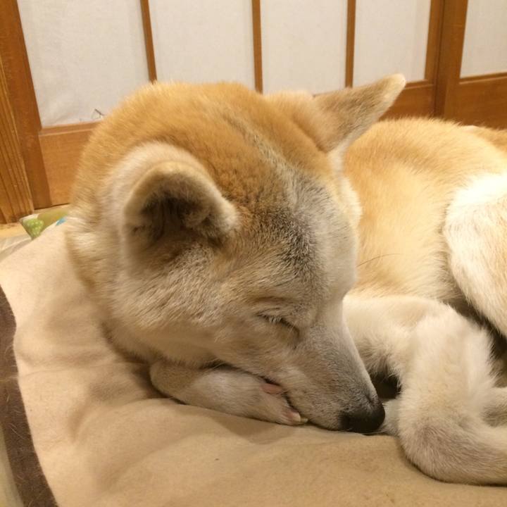 480521fa 568c 44ed 8818 09a7dbb854ba 1586960504810