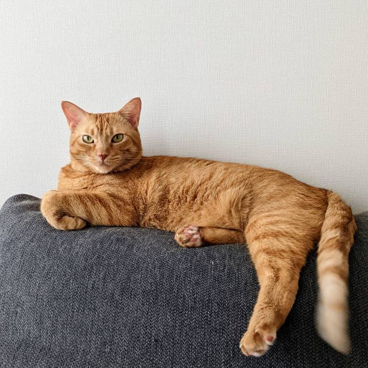 480530e3 66df 4c92 ae89 c994d183b3ed 1662259753159