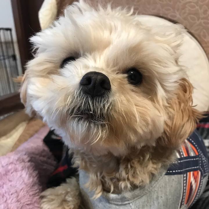 48054451 e2b6 478a 875d 663e8624f3f0 1517351305379