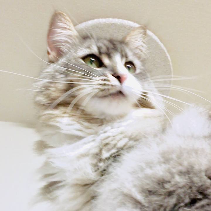 48057824 19de 4032 bb5e ec80a122ba8a 1558805886612