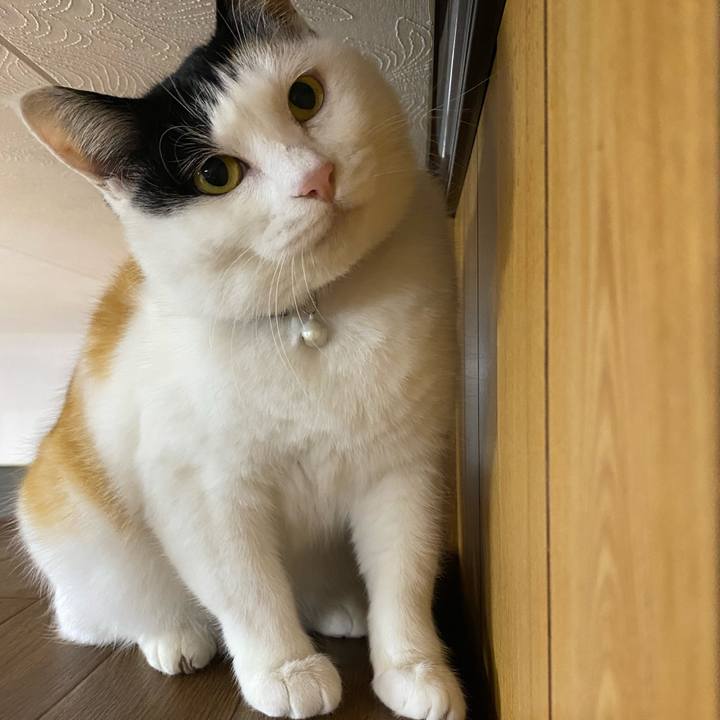 48057f44 543d 46e4 8a38 19b6ea6434c5 1648240378640