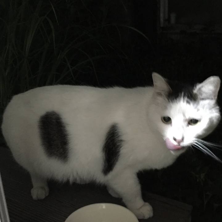 48059db5 c47d 4d3b 92b2 a3766e499007 1664386590021