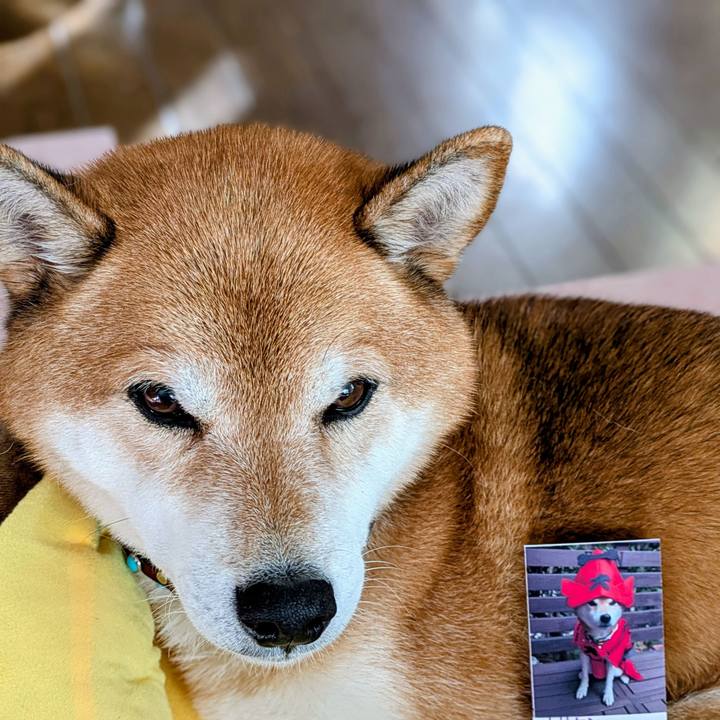 4805ecbe 93d2 4eaa 9d72 bd3d25da1d9c 1763077850965