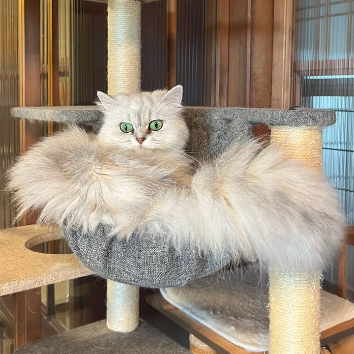 4805efe8 2ecb 4255 b0f4 f2a09a44dc1f 1654913816774