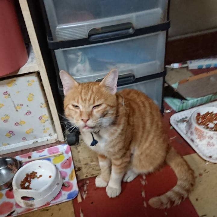 480608d9 6a48 4863 a56b e6583719b242 1568160890787