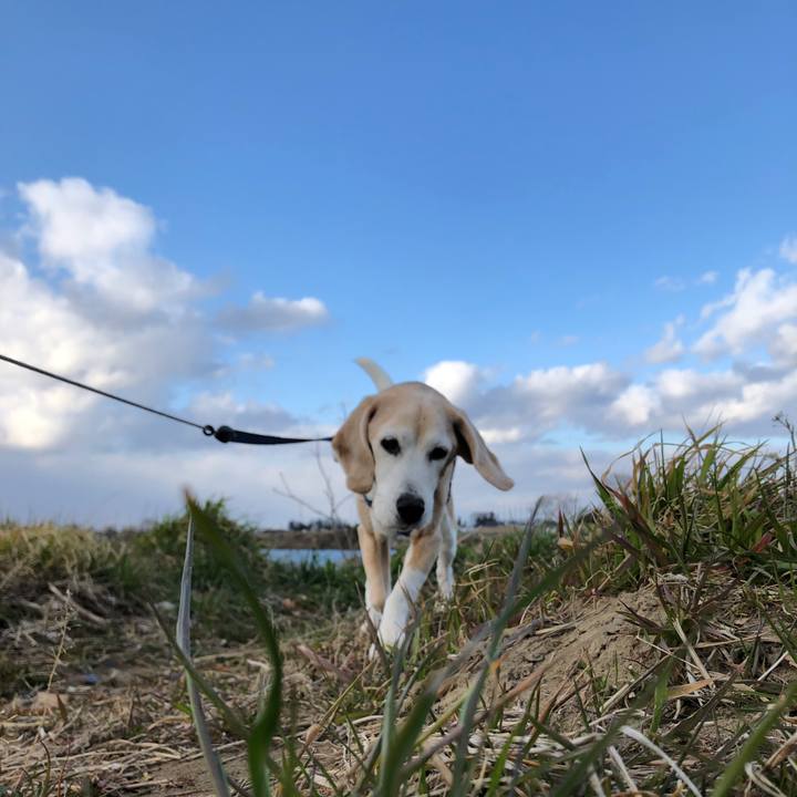 48060d0e 6bd1 43d0 b396 ba5bfbeb890c 1583557457526